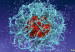 121005134236_sangart_304x171_sangart