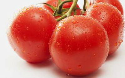 121009111646_tomato_304x171_spl_nocredit