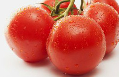 121009111646_tomato_304x171_spl_nocredit