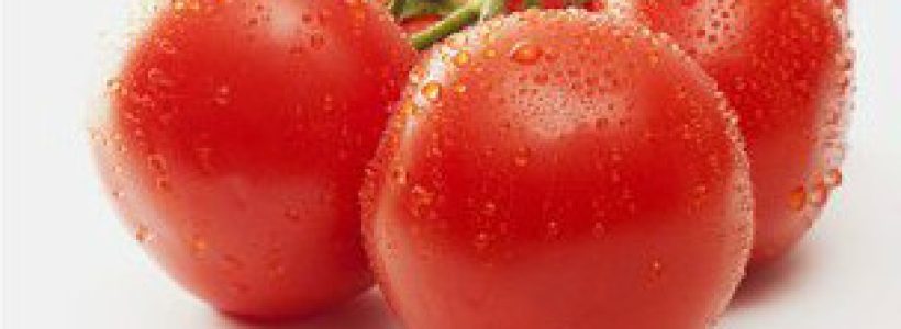 121009111646_tomato_304x171_spl_nocredit