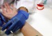 analisis_sangre