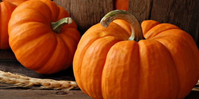 calabazas-fiesta-halloween1