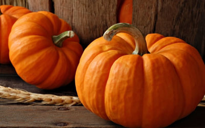 calabazas-fiesta-halloween1