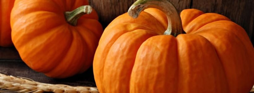 calabazas-fiesta-halloween1