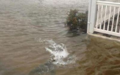 fotos_falsas_de_sandy_en_ny