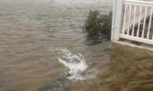 fotos_falsas_de_sandy_en_ny