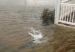 fotos_falsas_de_sandy_en_ny