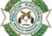 logo_pn-297x300