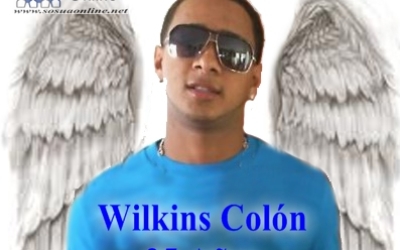 wilkins_copia
