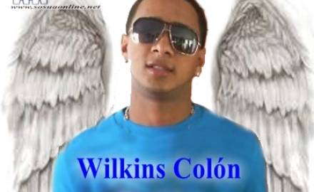 wilkins_copia