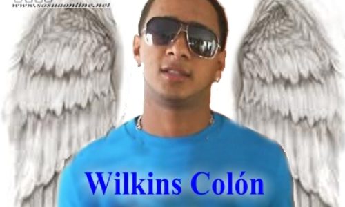 wilkins_copia