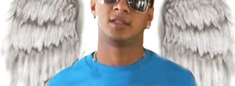 wilkins_copia