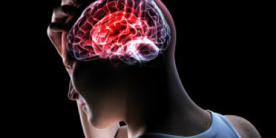 121024032000_sp_cerebro_304x171_spl_nocredit