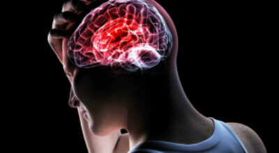 121024032000_sp_cerebro_304x171_spl_nocredit