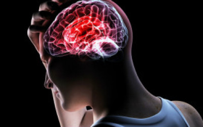 121024032000_sp_cerebro_304x171_spl_nocredit