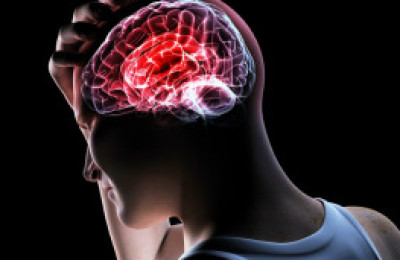 121024032000_sp_cerebro_304x171_spl_nocredit