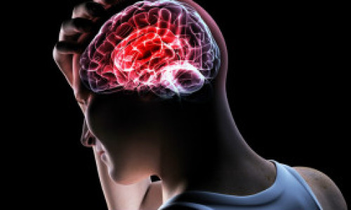 121024032000_sp_cerebro_304x171_spl_nocredit