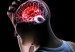 121024032000_sp_cerebro_304x171_spl_nocredit