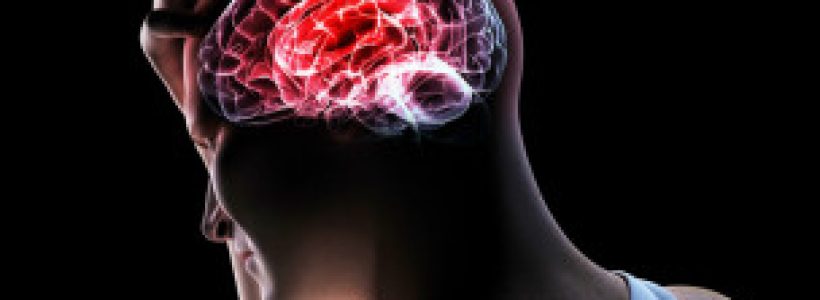 121024032000_sp_cerebro_304x171_spl_nocredit