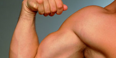 121121115002_biceps_304x171_spl_nocredit