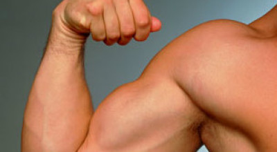 121121115002_biceps_304x171_spl_nocredit