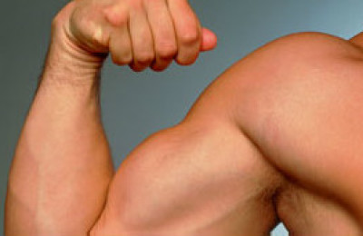121121115002_biceps_304x171_spl_nocredit