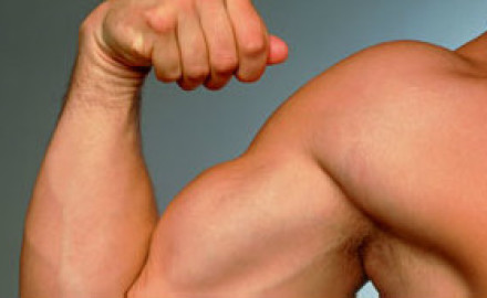 121121115002_biceps_304x171_spl_nocredit