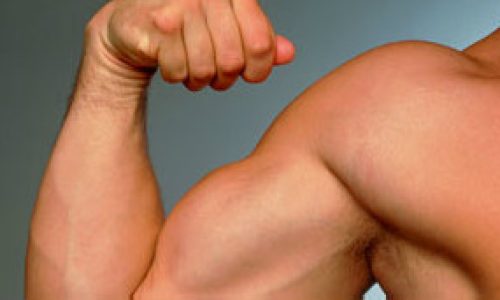 121121115002_biceps_304x171_spl_nocredit