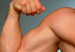 121121115002_biceps_304x171_spl_nocredit