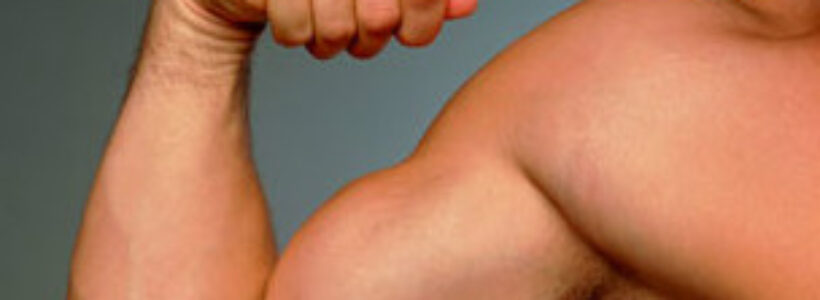 121121115002_biceps_304x171_spl_nocredit