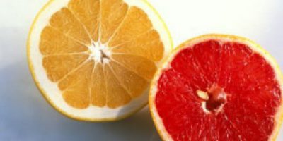 121127000943_grapefruit_304x171_na_nocredit