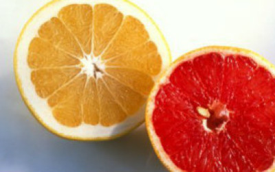 121127000943_grapefruit_304x171_na_nocredit