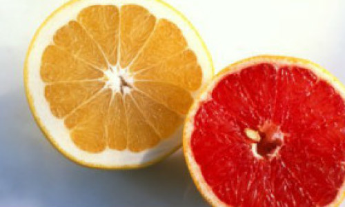 121127000943_grapefruit_304x171_na_nocredit