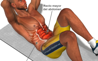 Ejercicios-Abdominales