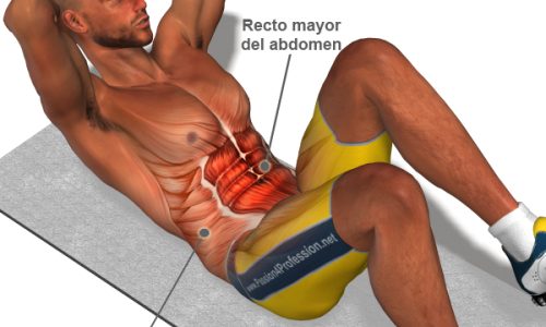 Ejercicios-Abdominales
