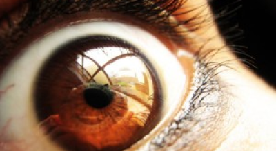 en_el_iris_del_ojo
