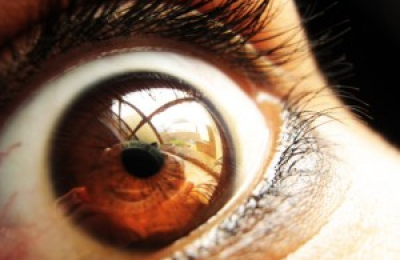 en_el_iris_del_ojo