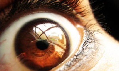 en_el_iris_del_ojo