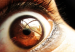 en_el_iris_del_ojo