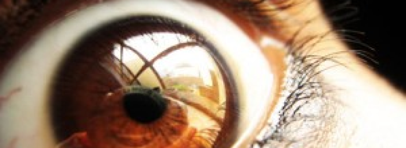 en_el_iris_del_ojo