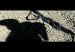 324567897_llanero_solitario