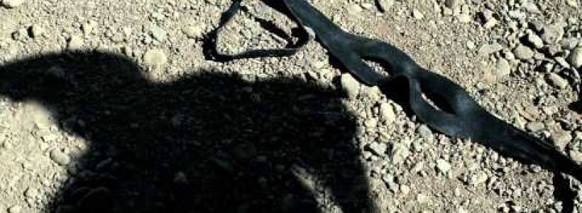324567897_llanero_solitario