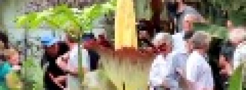 6a00d834518de369e2017d3f432fb9970c-800wi
