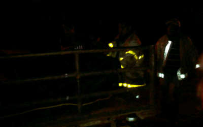 IMG-20121130-WA0003