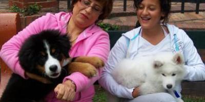 pueblo_donde_cobran_por_tener_perros
