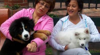 pueblo_donde_cobran_por_tener_perros