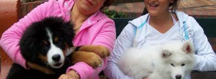 pueblo_donde_cobran_por_tener_perros