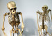 130125122044_primates_hiv_304x171_getty