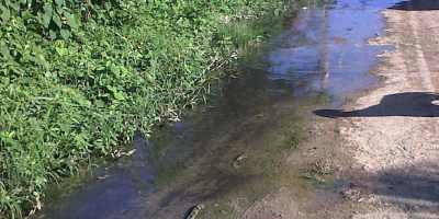 IMG01326-20130121-0931