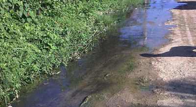 IMG01326-20130121-0931